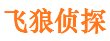 舞阳外遇出轨调查取证